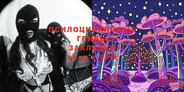 круглые Алзамай