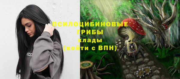 круглые Алзамай