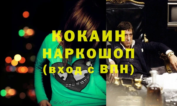 ешки Алексин