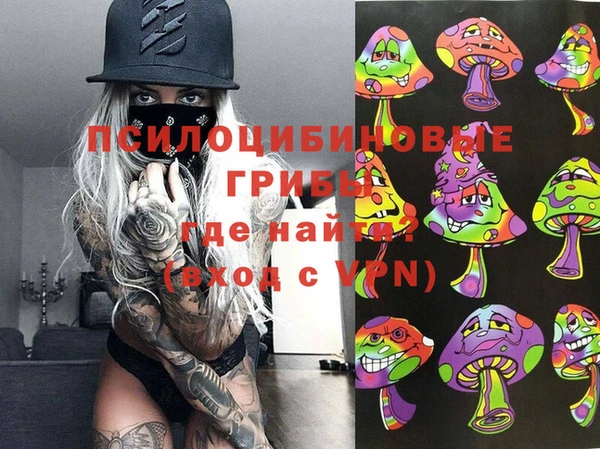 ешки Алексин