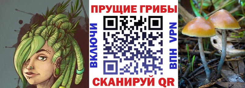 Галлюциногенные грибы ЛСД  Палласовка 